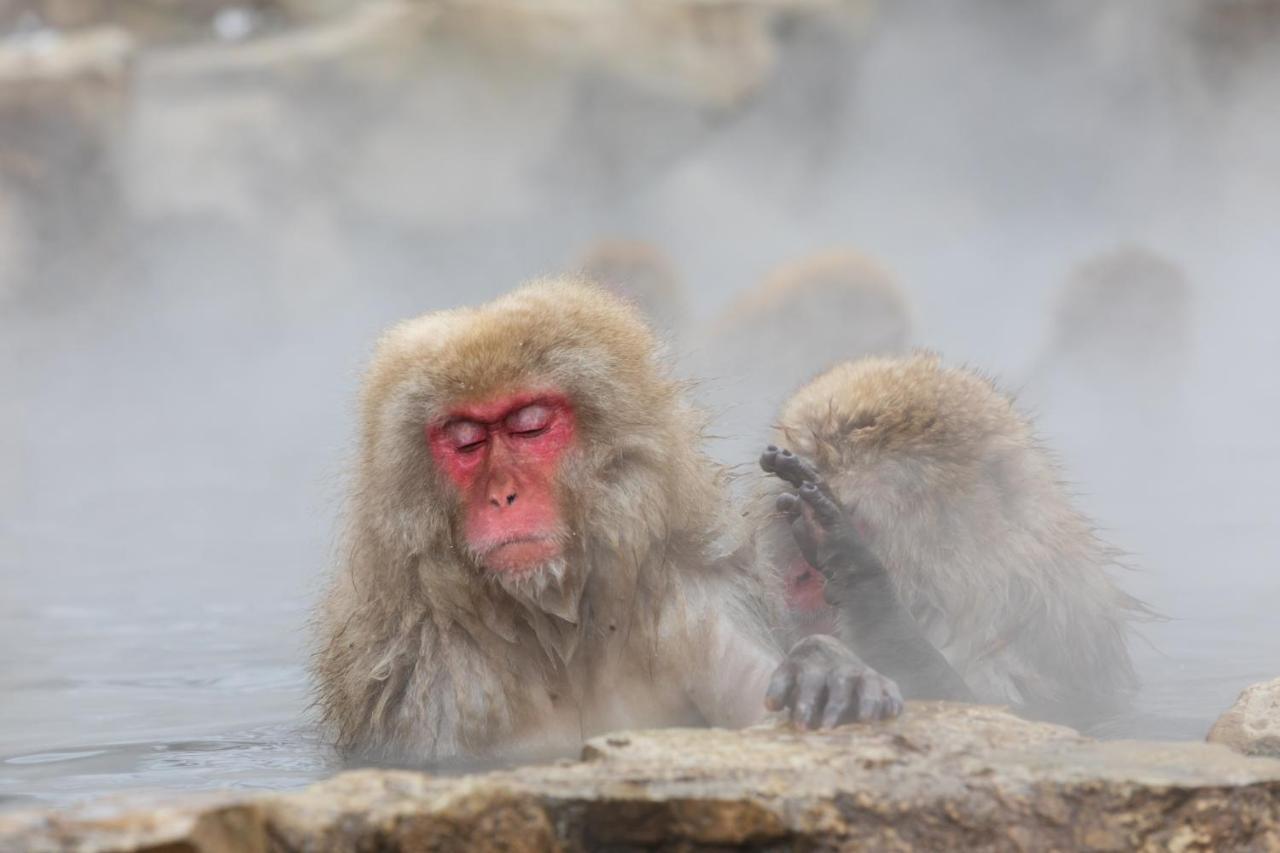 Fukeikan 風景館 Takayama  Bagian luar foto